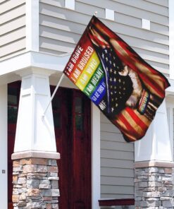 lgbt pride. american flag 8551