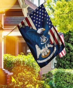 louisiana american eagle flag 5565