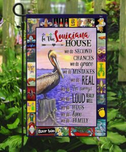 louisiana house flag 4707