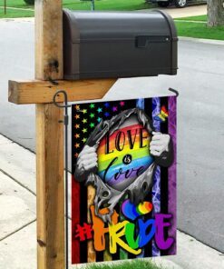 love is love, lgbt flag 6593