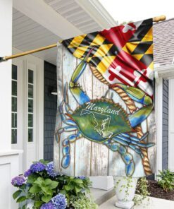 Maryland Flag Victory LNT299F