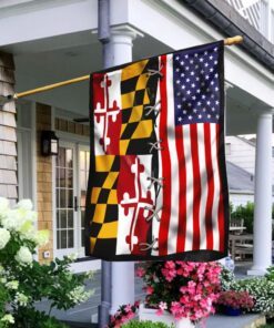 Maryland State Vs American Flag