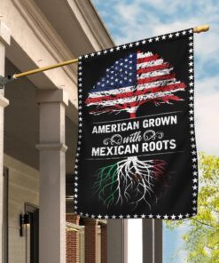 Mexican American Flag