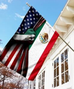 mexican american flag 6260