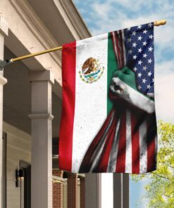 Mexican American Flag