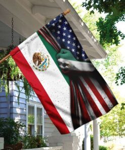 mexican american flag 8874