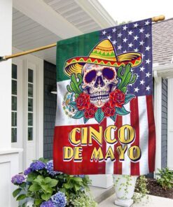 Mexico Flag Cinco De Mayo Mexican Skull BNN103F