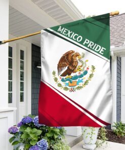 Mexico Pride Flag Original LNT369F