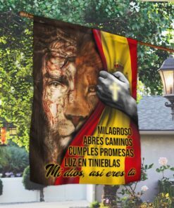 mi dios, así eres tù jesús flag pn299f 1390