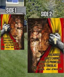 Mi dios, así eres tù Jesús Flag PN299F