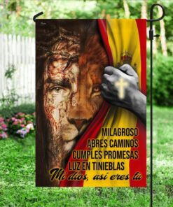 mi dios, así eres tù jesús flag pn299f 3100