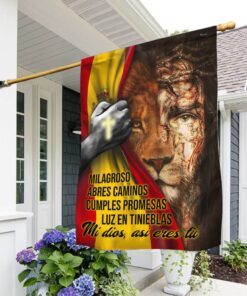 mi dios, así eres tù jesús flag pn299f 7382