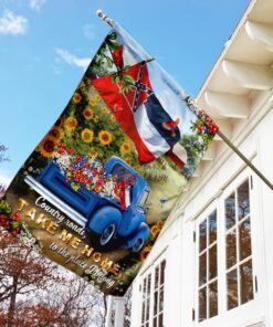 mississippi, take me home flag 8340