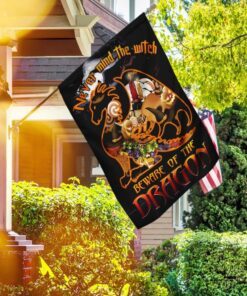 never mind the witch, beware of the dragon flag 1760