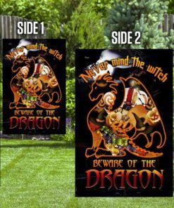 never mind the witch, beware of the dragon flag 3528