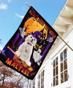 never mind the witch beware of the maltese flag 2466