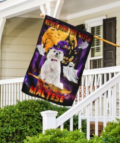 never mind the witch beware of the maltese flag 5487