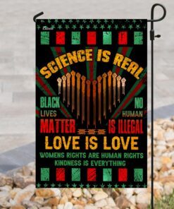 no human is illegal, love is love flag 4639