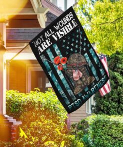 Not All Wounds Are Visible PTSD Awareness Flag