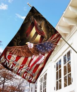 one nation under god. american eagle flag 3663