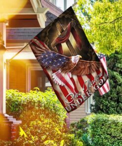 one nation under god. american eagle flag 3955