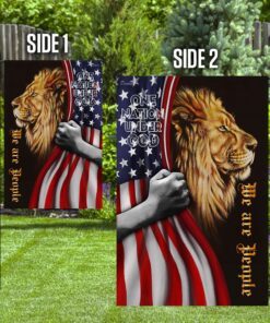 one nation under god. lion american flag 4691