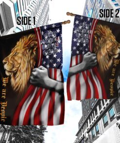 one nation under god. lion american flag 4962