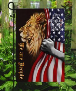 one nation under god. lion american flag 8133