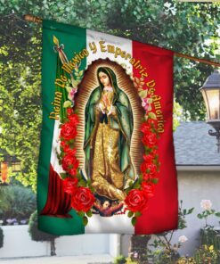 Our Lady of Guadalupe Virgin Mary Mexico Flag MLH2284F