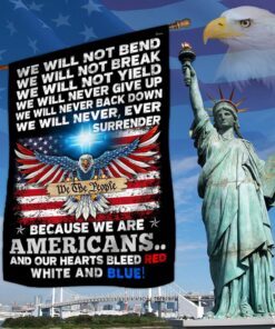 Patriot Flag Because We Are Americans Our Hearts Bleed Red White and Blue Flag MLN424F
