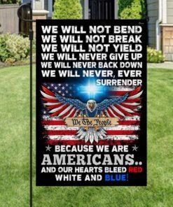 patriot flag because we are americans our hearts bleed red white and blue flag mln424f 8376