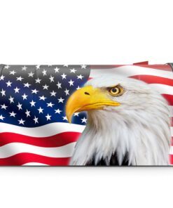 patriotic eagle american mailbox cover magnetic mln652mb 3675