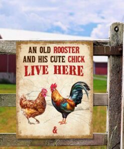 personalized metal chicken signs flagwix™ chickens metal sign an old rooster and his cute chick live here qnn12msct 3846