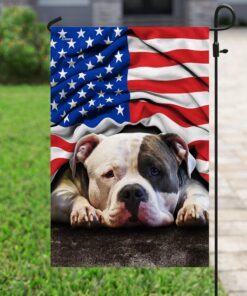 pit bull. american patriot flag 1802