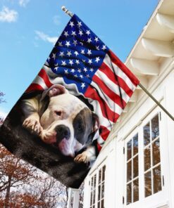 pit bull. american patriot flag 2174