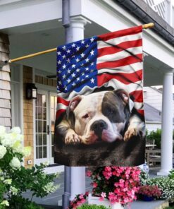 Pit Bull. American Patriot Flag