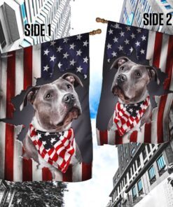 pit bull american flag 6143
