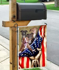 pitbull american flag 1261