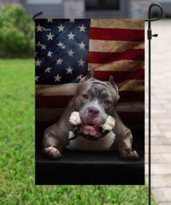 pitbull american flag 6282