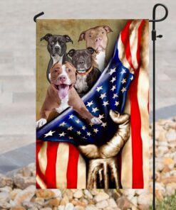 pitbull american flag 8587