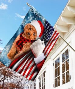 poodle through the snow flag 5728