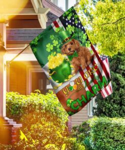 poodle you are my lucky charm irish american flag 1132