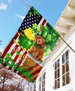 poodle you are my lucky charm irish american flag 3798