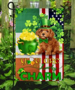 poodle you are my lucky charm irish american flag 4958