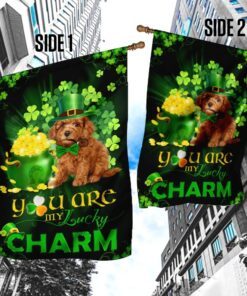 poodle you are my lucky charm irish flag 3850