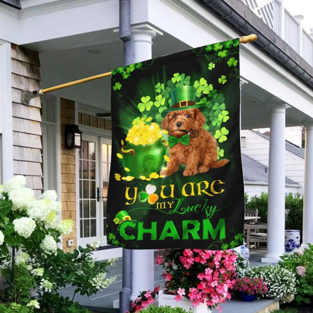 Poodle You Are My Lucky Charm Irish Flag