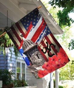 puerto rico american flag 8675