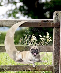 pug dog on the moon hanging metal sign qnk1012msv8 1191