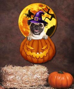 pug halloween metal sign pumpkin dog bnn484ms 7583
