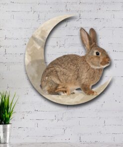 rabbit bunny and moon hanging metal sign qnk1005msv8 1616